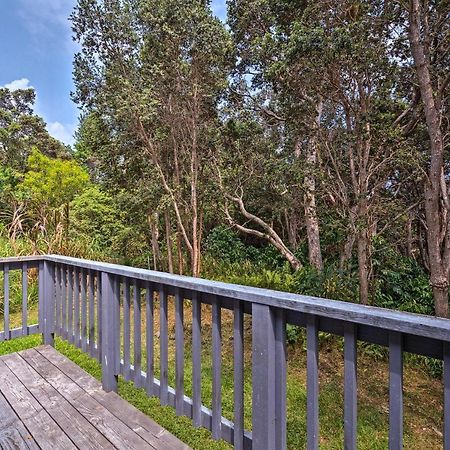 Peaceful Abode With Deck, 13 Mi To Black Sand Beach! Naalehu Экстерьер фото